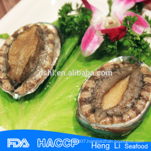 Frozen cooked abalone